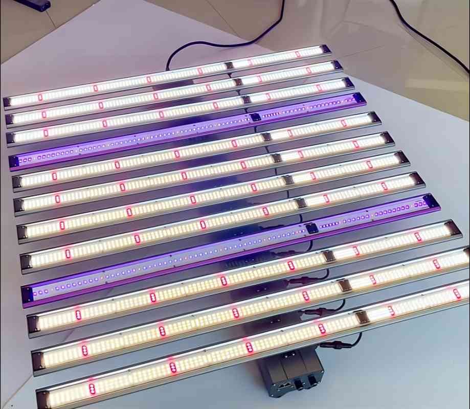 Spyder grow light