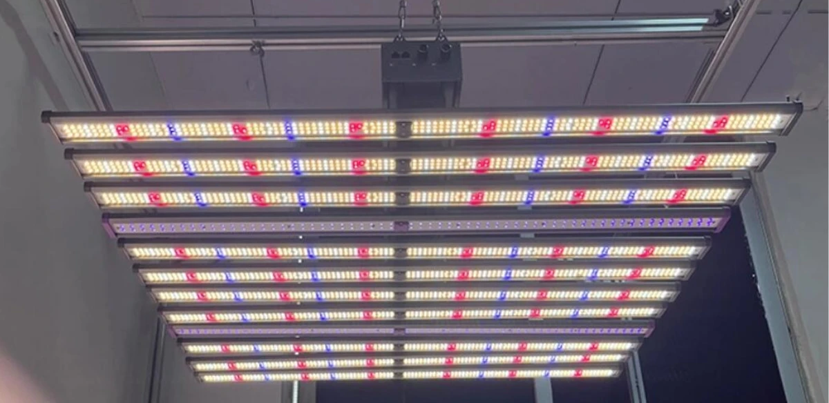 Detachable UV Grow Light Detachable UV Grow Light
