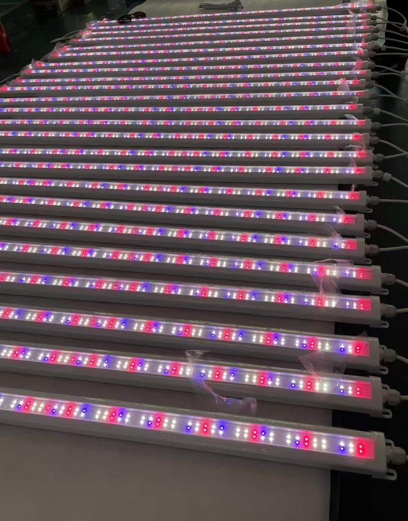 LED Grow lights LED Grow lights