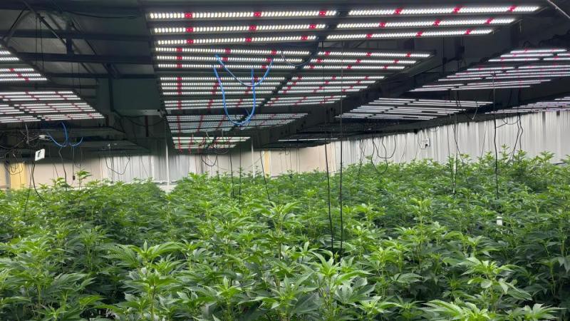 full spectrum grow lights full spectrum grow lights