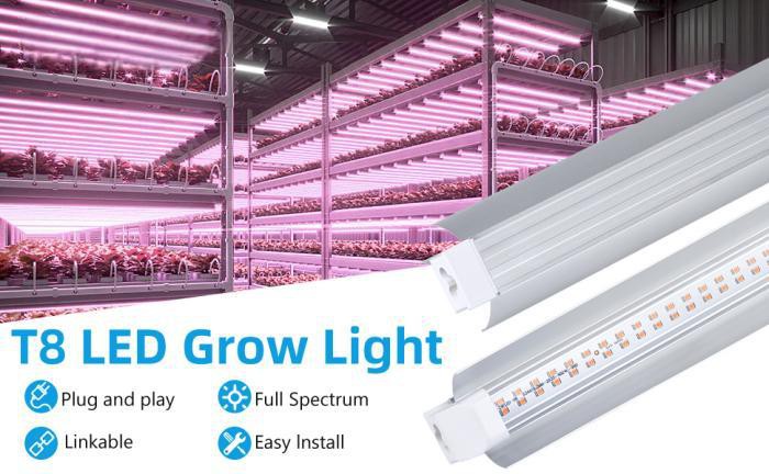 T8 grow lights T8 grow lights