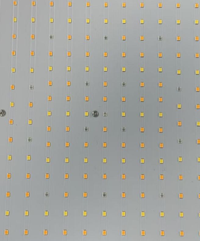 LED chips LED chips