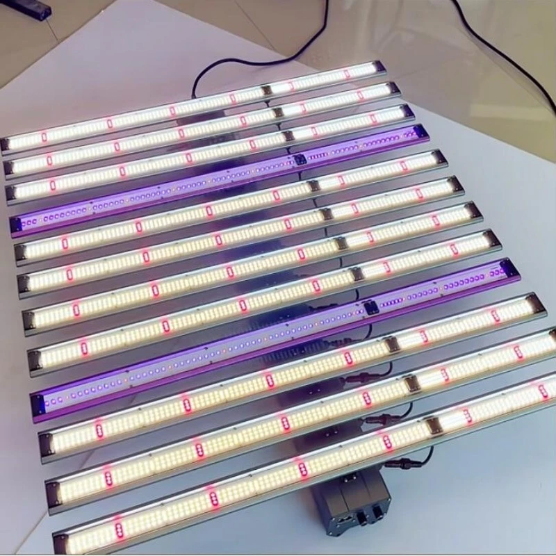 LED grow light