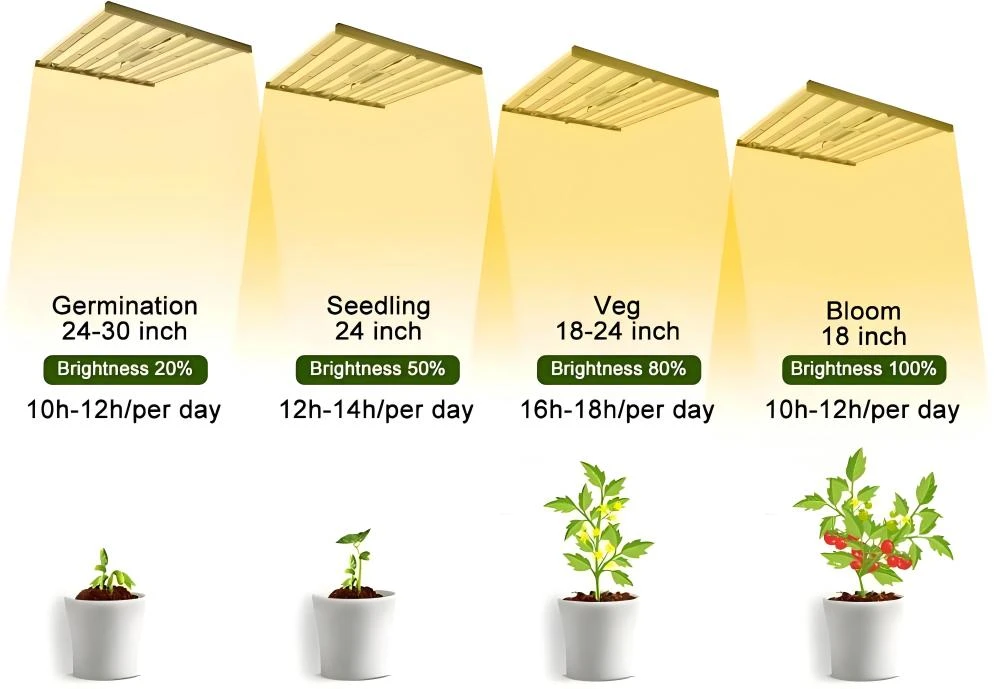 LED 800W Grow Lamps LED 800W Grow Lamps